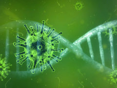 coronavirus-human-mutate