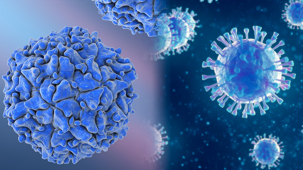 polio-corona-virus